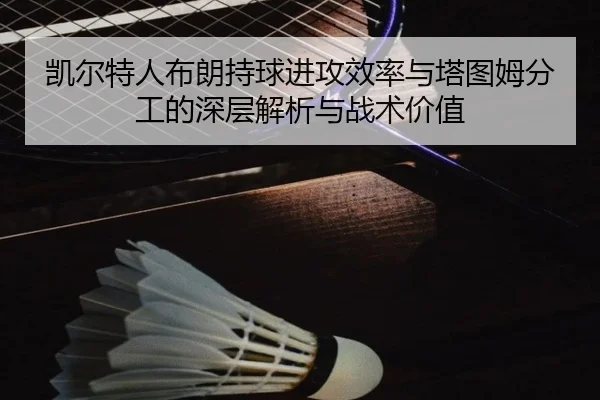 凯尔特人布朗持球进攻效率与塔图姆分工的深层解析与战术价值